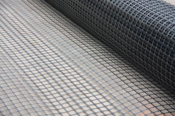 Polyester Composite Geo Grid Ground Grid Polyethylene Membrane