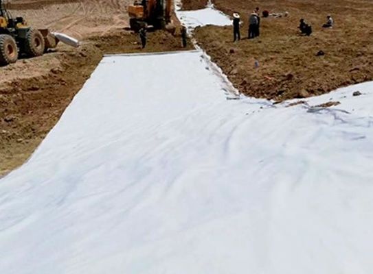 2m Reinforced PP/PET Geotextile Fabric For Gravel Driveway Wear Resistant