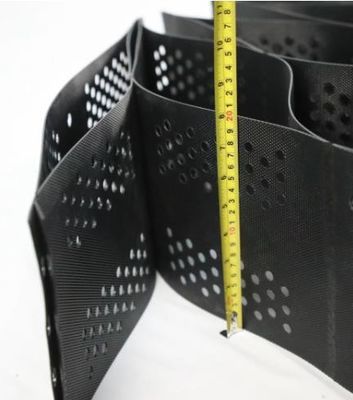 Système de protection en plastique de racine de système Cellweb d'emprisonnement de Geocell de HDPE de Reinfored