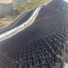 Plastic Hdpe Green Gravel Stabilizer Grid Driveway Soil Reinforcement