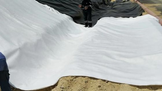 Włóknina z włókna polipropylenowego Geowłóknina Mata Geosyntetyczna tkanina ASTM