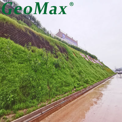 Geocell High Strength For Road Grass Geocell Paver Geocell Slop Protection