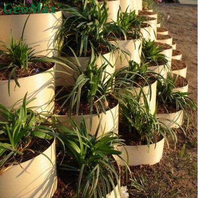 250 มม ความสูง HDPE Geocell สําหรับกําแพงยึดด้วย ESCR OIT Test Ground Grid