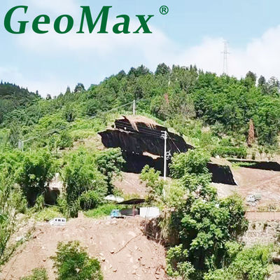 HDPE Geocell 50 mm de hauteur texturé et perforé pour la stabilisation du sol