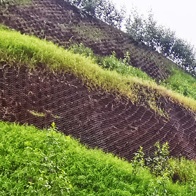 HDPE Geocell GM254-75mm Soil Stabilization Grid for Horse Trails and Farm Paths