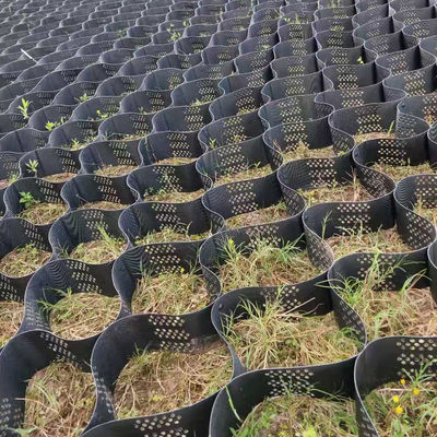 Eco-Friendly 100mm Geocell for Vegetation Erosion Control on Mild Slopes